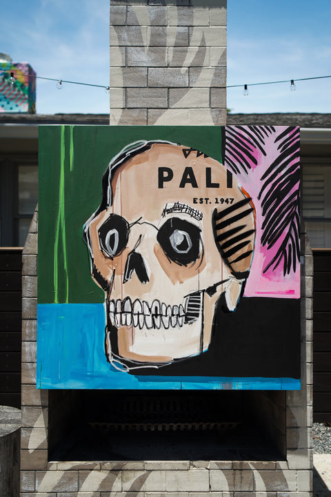 Terry Urban | Skull Palms